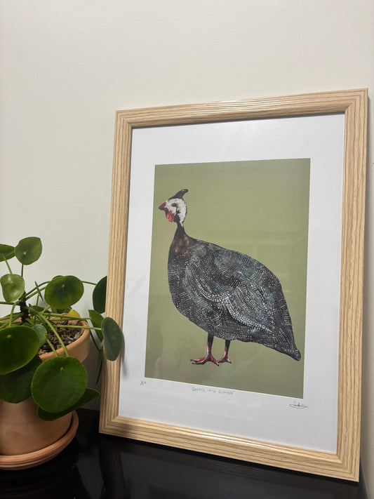 “Gertie The Guinea” FRAMED PRINTS